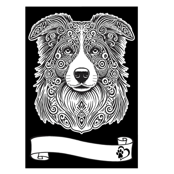 BORDER-COLLIE-colorvelvet